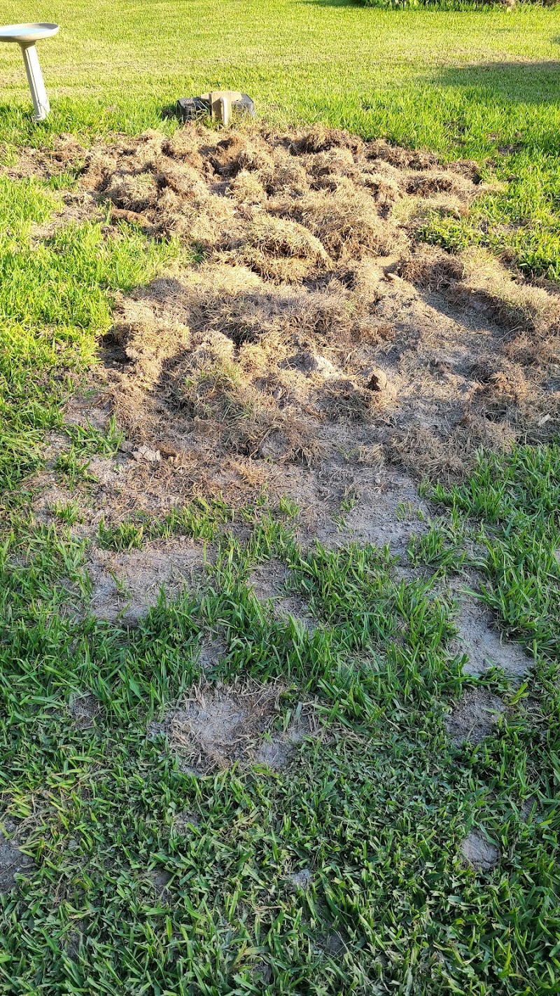 Brighteyes Septic technician performing repairs